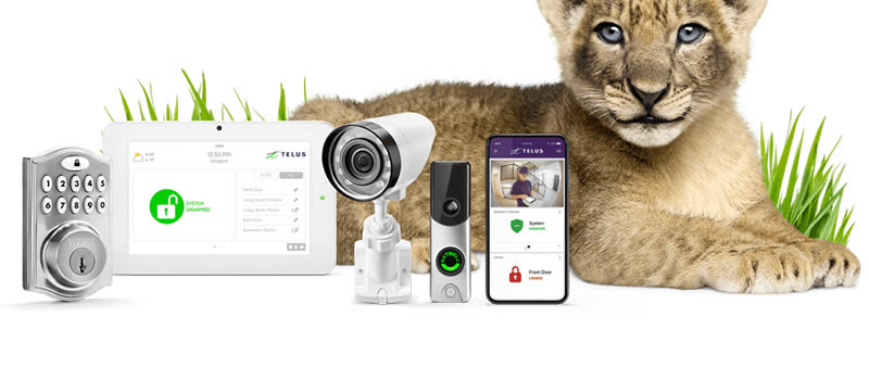 smart-home-security